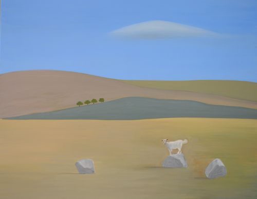 Goat and rocks 