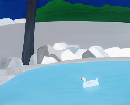 The duck in the lake of the National Garden